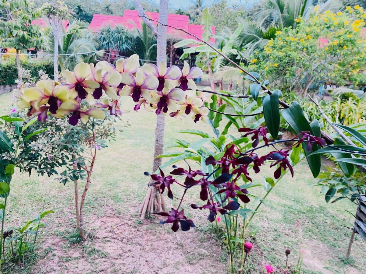 Nadia Resort Kohjum Koh Jum Eksteriør billede