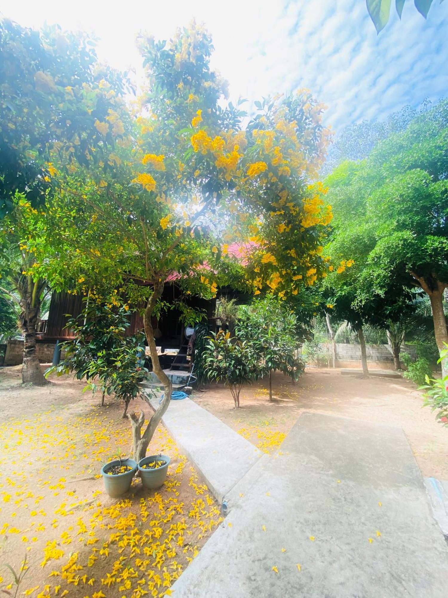 Nadia Resort Kohjum Koh Jum Eksteriør billede